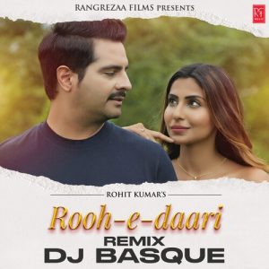 Rooh-E-Daari (Remix) (2023) Album Art