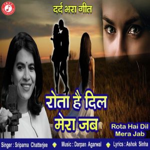 Rota Hai Dil Mera Jab (2020) Album Art