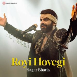 Royi Hovegi (Sufi Version) (2024) Album Art
