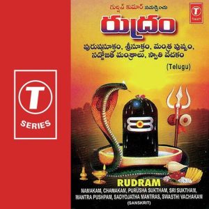 Rudram-Namakam, Chamakam, Purusha Suktham, Sri Suktam, Mantra Pushpam, Sadyojatha Mantras, Swasthi Vachakam (2003) Album Art
