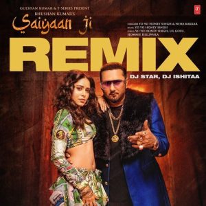 Saiyaan Ji Remix (2024) Album Art