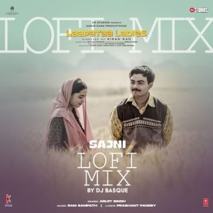 Sajni Lofi Mix (2024) Album Art