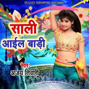 Sali Ail Badi (2024) Album Art