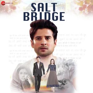 Salt Bridge (2018) Album Art