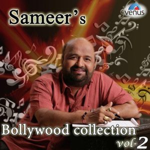 Sameer’s Bollywood Collection Vol. 2 (2013) Album Art