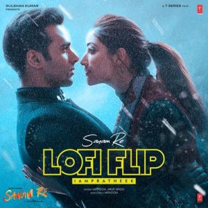 Sanam Re Lofi Flip (2025) Album Art