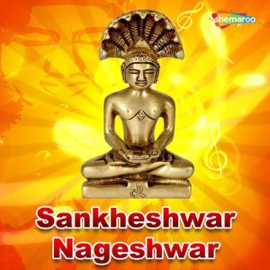 Sankheshwar Nageshwar (2010) Album Art