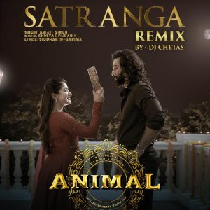 Satranga Remix (2024) Album Art