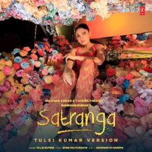 Satranga – Tulsi Kumar Version (2024) Album Art