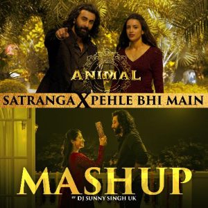 Satranga X Pehle Bhi Main Mashup (2024) Album Art