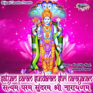 Satyam Param Sundaram Shri Narayanam (2023) Album Art