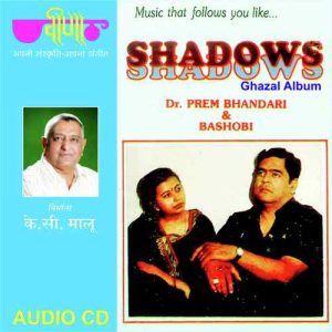 Shadows (1992) Album Art