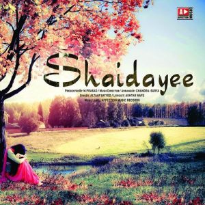 Shaidayee (2019) Album Art