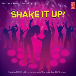 Shake It Up ! (2007) Album Art
