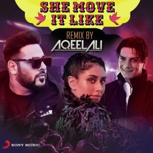 She Move It Like (Remix by Aqeel Ali) (2019) Album Art