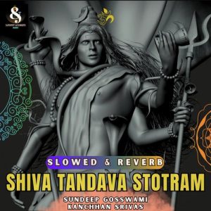 Shiva Tandava Stotram (Slowed Reverb) (2023) Album Art