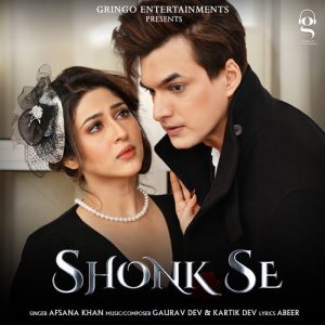 Shonk Se (2022) Album Art