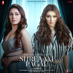 Shreaam Pagal (2021) Album Art