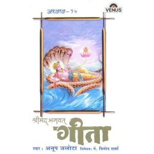 Shreemad Bhagwat Geeta – Vol. 15