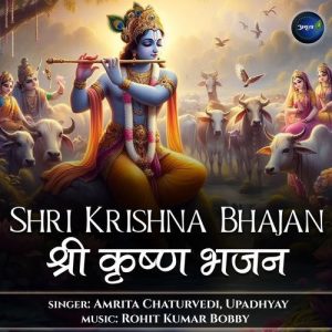 Shri Krishna Bhajan (2024) Album Art