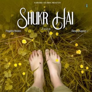 Shukr Hai (2025) Album Art