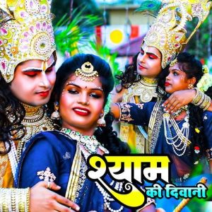Shyam Ki Deewani (2024) Album Art