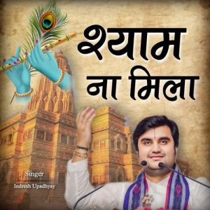 Shyam Na Mila (2024) Album Art