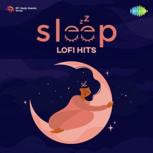 Sleep Lofi Hits (2022) Album Art