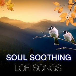 Soul Soothing Lofi Songs (2024) Album Art
