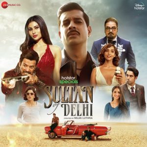 Sultan Of Delhi (2023) Album Art