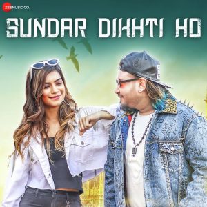 Sundar Dikhti Ho (2019) Album Art