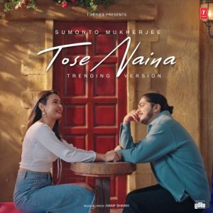 T-Series Listed (2024) Album Art