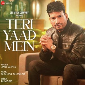 TERI YAAD MEIN (2024) Album Art