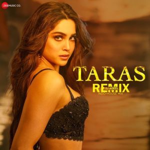 Taras Dj Aqeel Indo-House Mix (2024) Album Art