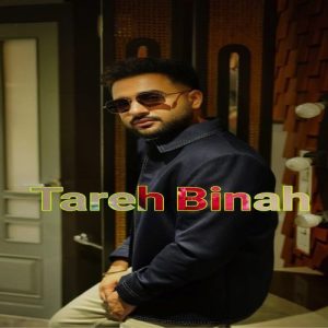 Tareh Binah (2025) Album Art