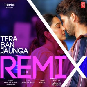Tera Ban Jaunga Remix (2019) Album Art
