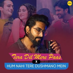 Tera Dil Mere Paas x Hum Nahi Tere Dushmano Mein (Recreated Song) (2024) Album Art