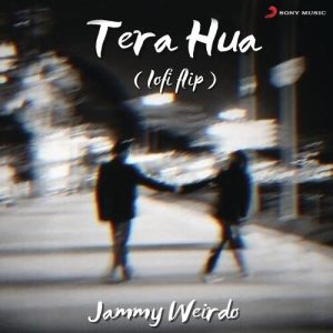 Tera Hua (Lofi Flip) (2022) Album Art