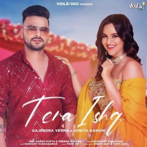 Tera Ishq (2021) Album Art
