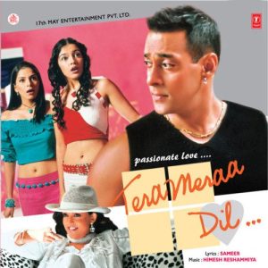 Tera Meraa Dil (2003) Album Art