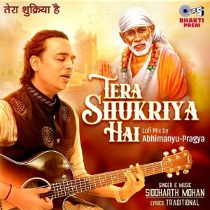 Tera Shukriya Hai (Lofi Mix) (2025) Album Art