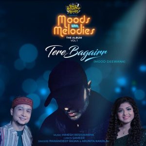 Tere Bagairr (2021) Album Art