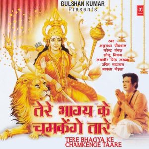Tere Bhagya Ke Chamkenge Taare (2005) Album Art
