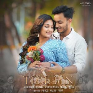 Tere Bin (2024) Album Art
