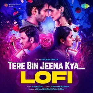 Tere Bin Jeena Kya – Lofi