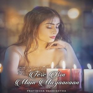 Tere Bin Main Marjaavaan (2023) Album Art