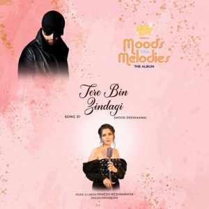 Tere Bin Zindagi (2023) Album Art