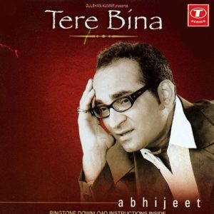 Tere Bina (2003) Album Art