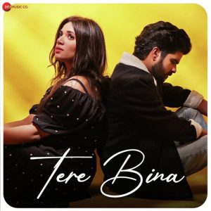 Tere Bina (2023) Album Art