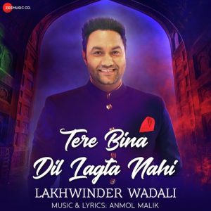 Tere Bina Dil Lagta Nahi (2020) Album Art